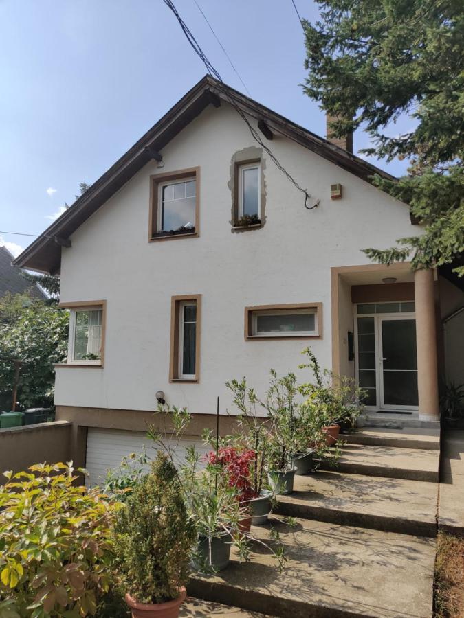 Dali Apartment Szentendre Exteriér fotografie